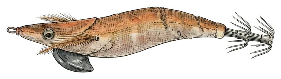 Illustrazione di egi