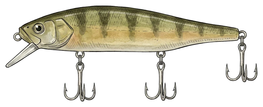 Illustrazione di jerkbait
