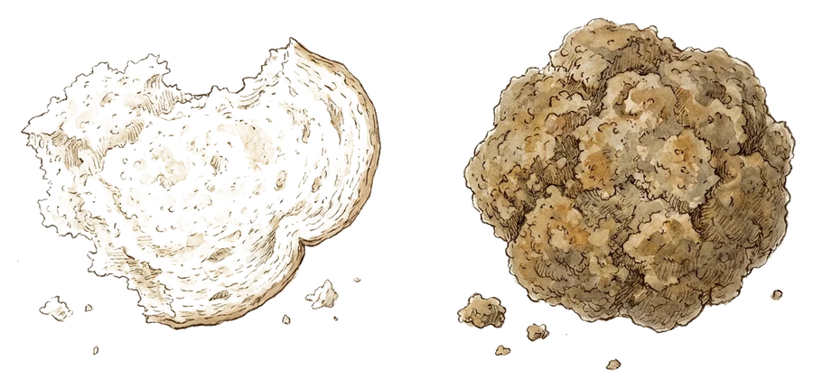 Illustrazione di pane e pastura