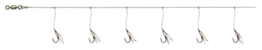 Illustrazione di sabiki